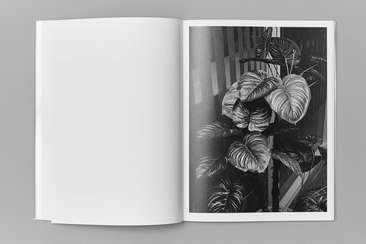 edouard_jacquinet_books_marguerites_06