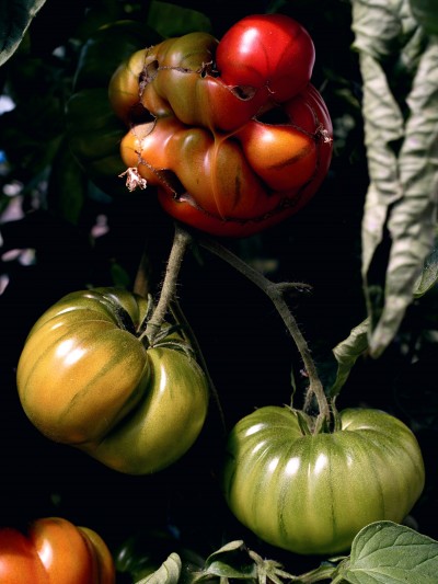 edouard_jacquinet_portfolio_01