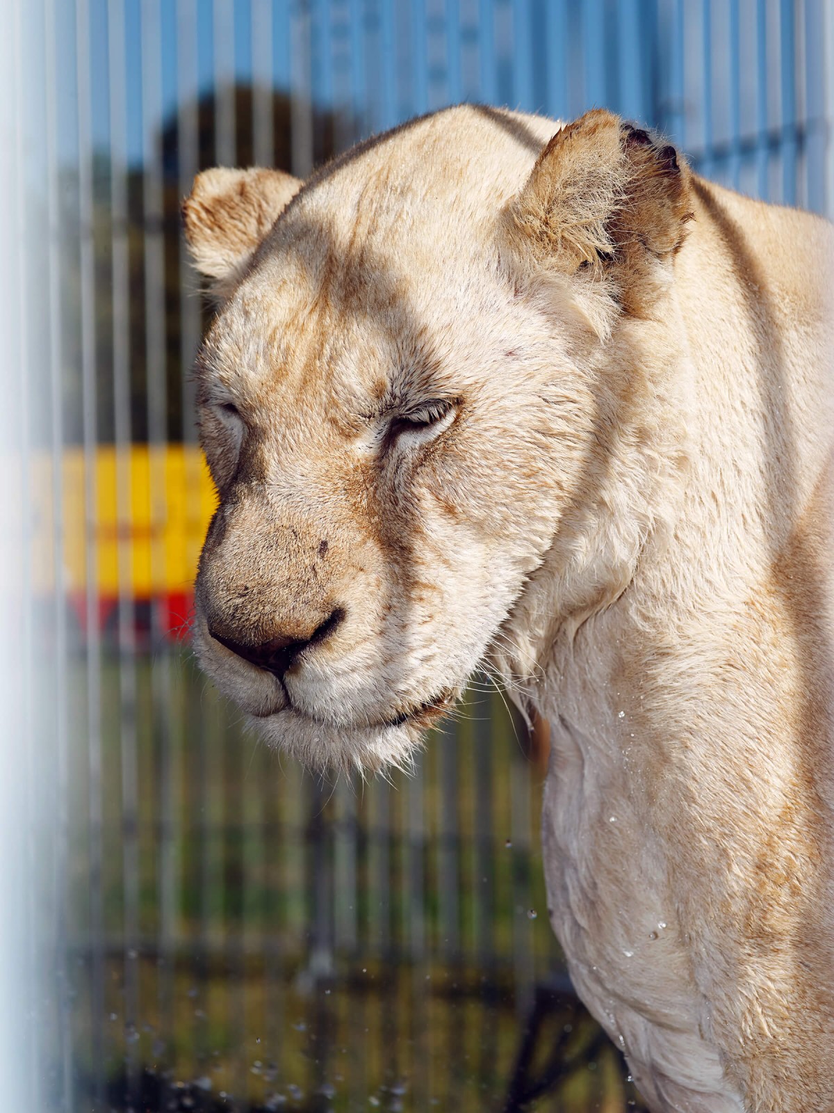 edouard_jacquinet_portfolio_30