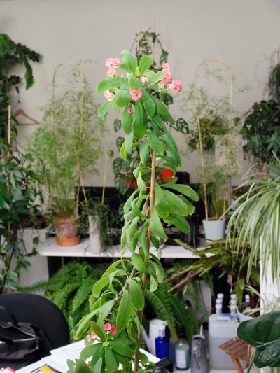 edouard_jacquinet_portfolio_48