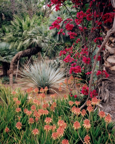 edouard_jacquinet_portfolio_15