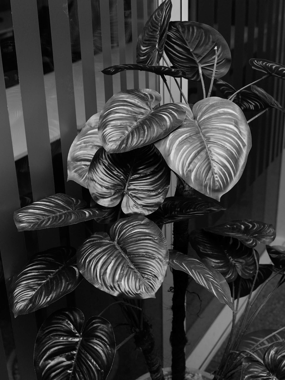 edouard_jacquinet_projects_marguerites_06