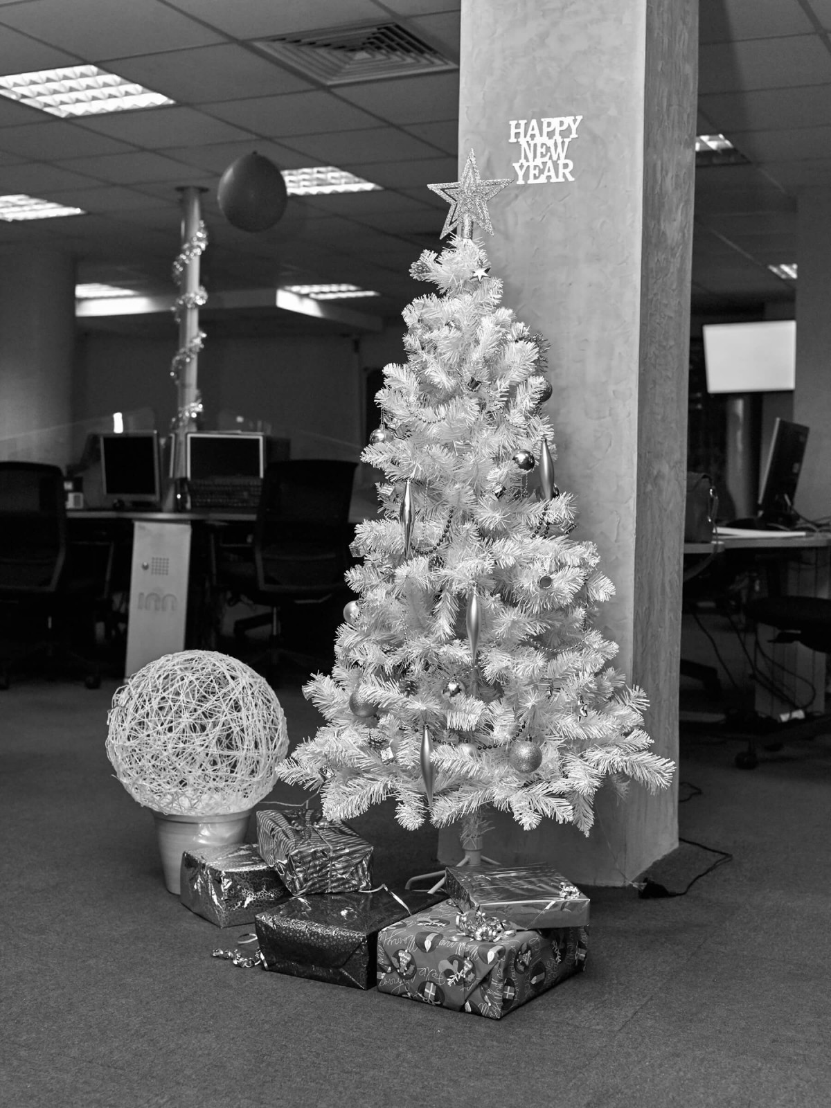 edouard_jacquinet_projects_marguerites_14