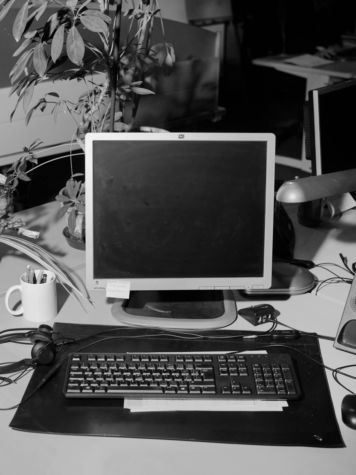 edouard_jacquinet_projects_marguerites_05