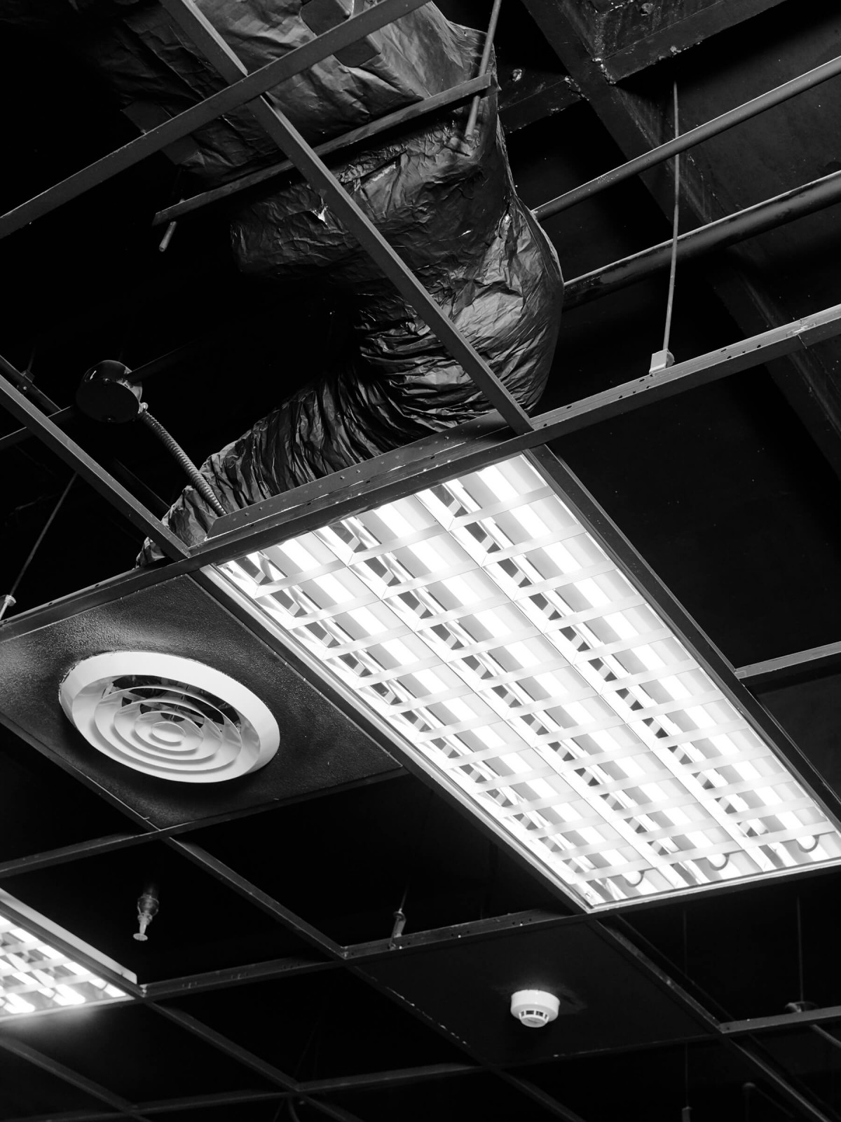 edouard_jacquinet_projects_marguerites_16