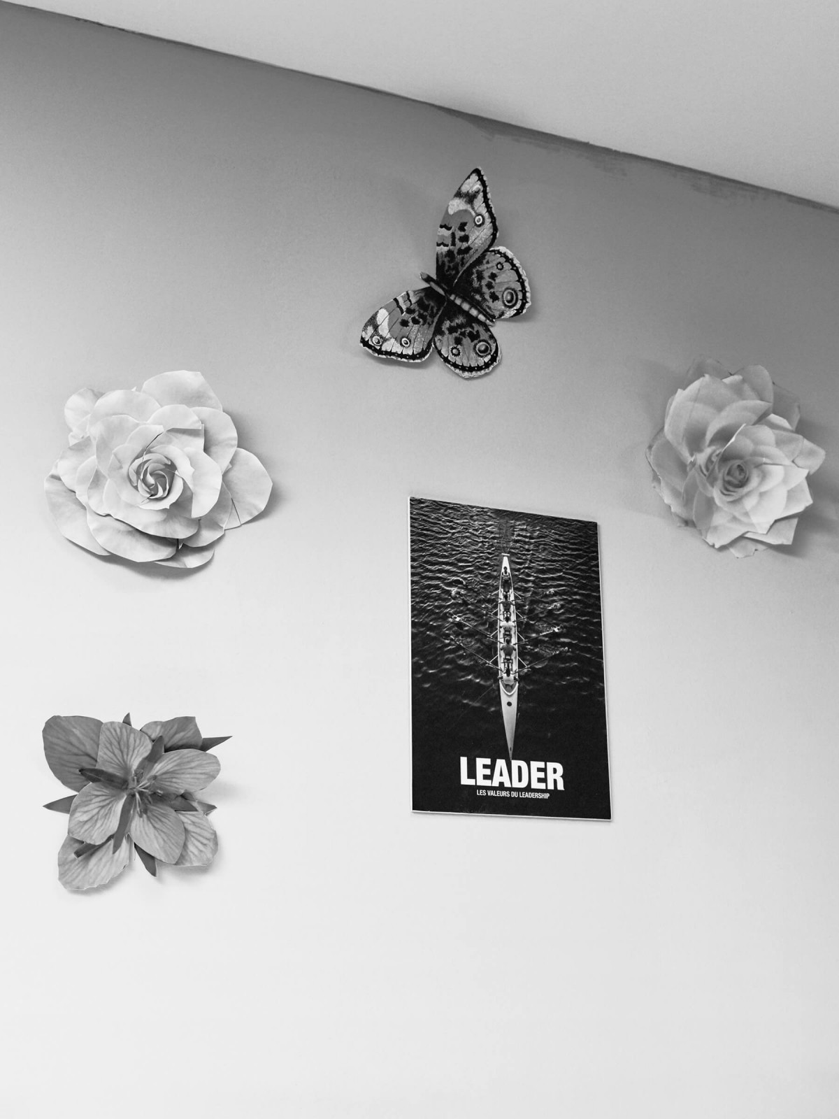 edouard_jacquinet_projects_marguerites_02